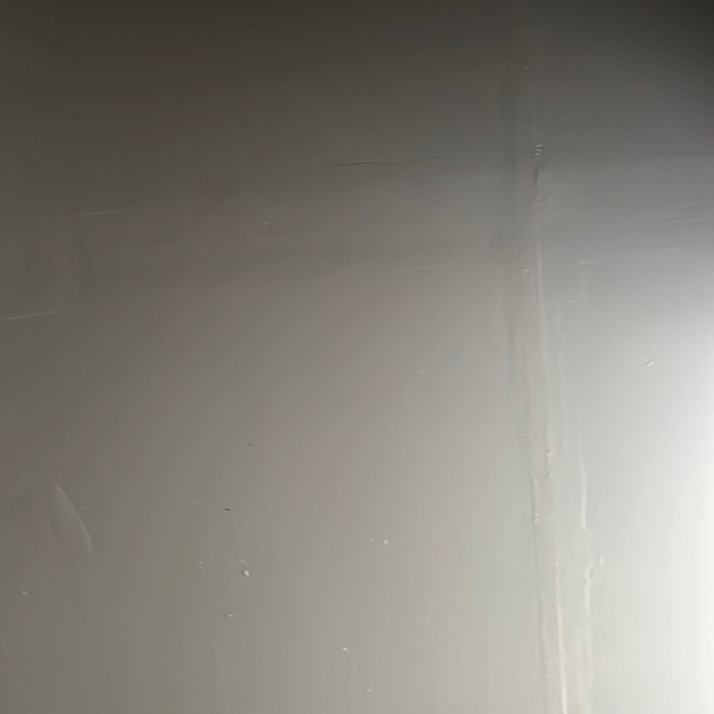 Meet your Posher, Jazmin